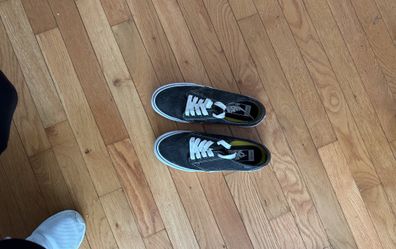 Vans Ortholite Shoes