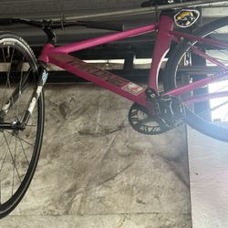 Pink Throne Fixie 