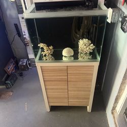 Fluval M60 aquarium