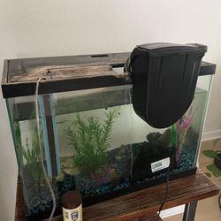 Fish Tank With Fish Supplies
