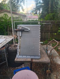 Guzman coil