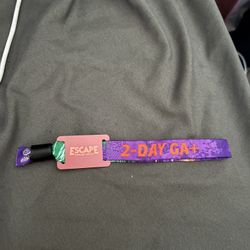 2 DAY GA+ PLUS ESCAPE TICKETS (2 tickets)