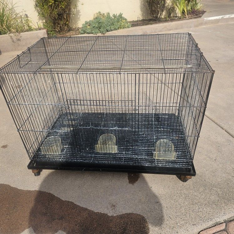 Birds Cage