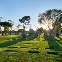 Cemetery Plot 