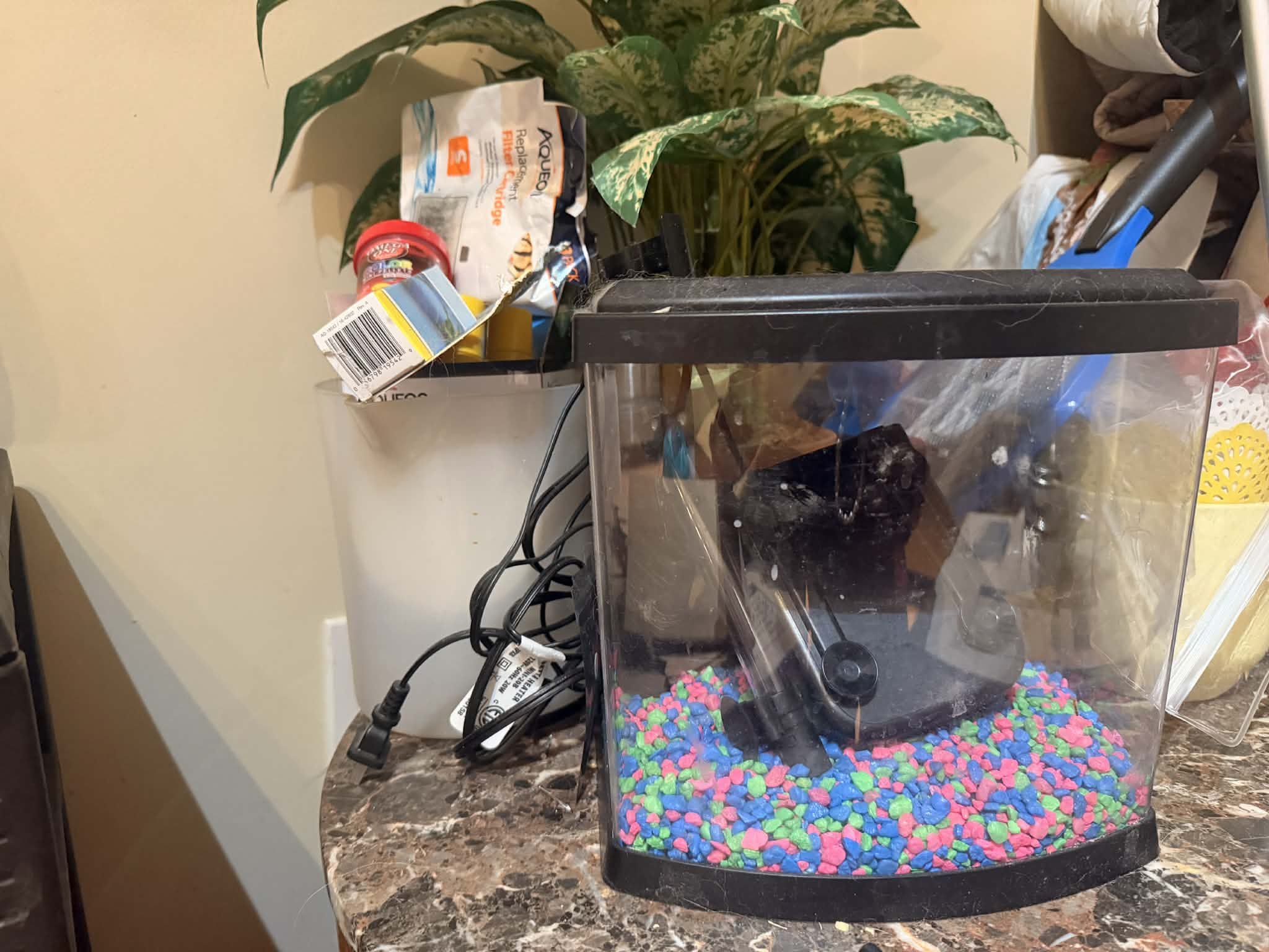 Aquarium And Fish Supplies