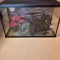 Reptile Tank