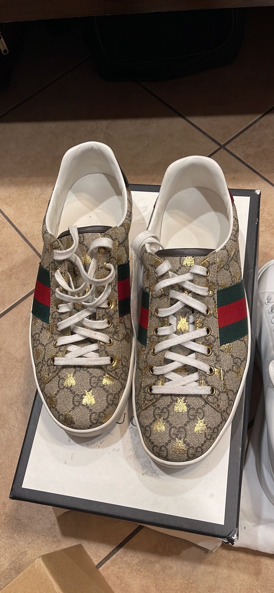 Gucci Shoes 