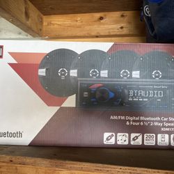 Car Stereo 