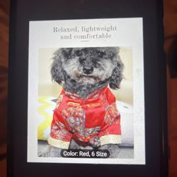 Samll dog. Festival Costume 