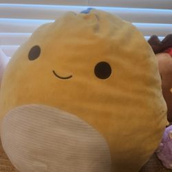 Squishmallows 