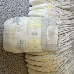 Premie To Size 2 Diapers