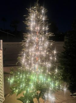 2 Christmas Trees