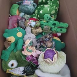 Box Of FROG collection