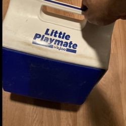 Vintage Small Igloo Cooler