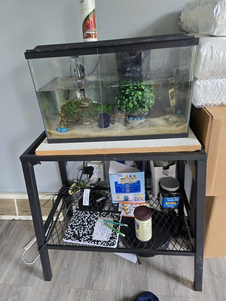 Fish Aquarium