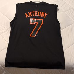 Carmelo Anthony Knicks