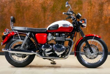  2013 Triumph t100 