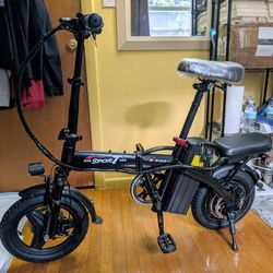Electric Scooter 