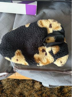 pet apparel