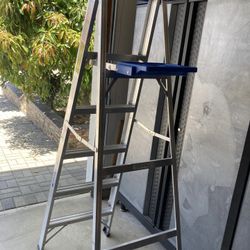 6ft Ladder 