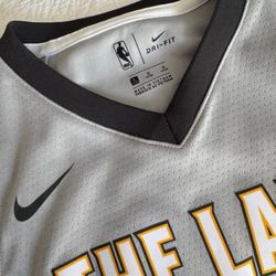 Nike LeBron James “the Land” Jersey