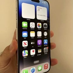 iPhone Pro Max 