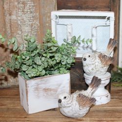 Shabby White French Country Farmhouse Cottage Birds Candle Holder Box Arrangement Basket Bundle