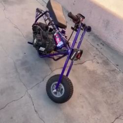GTS Mini Bike With Wheelie Bar