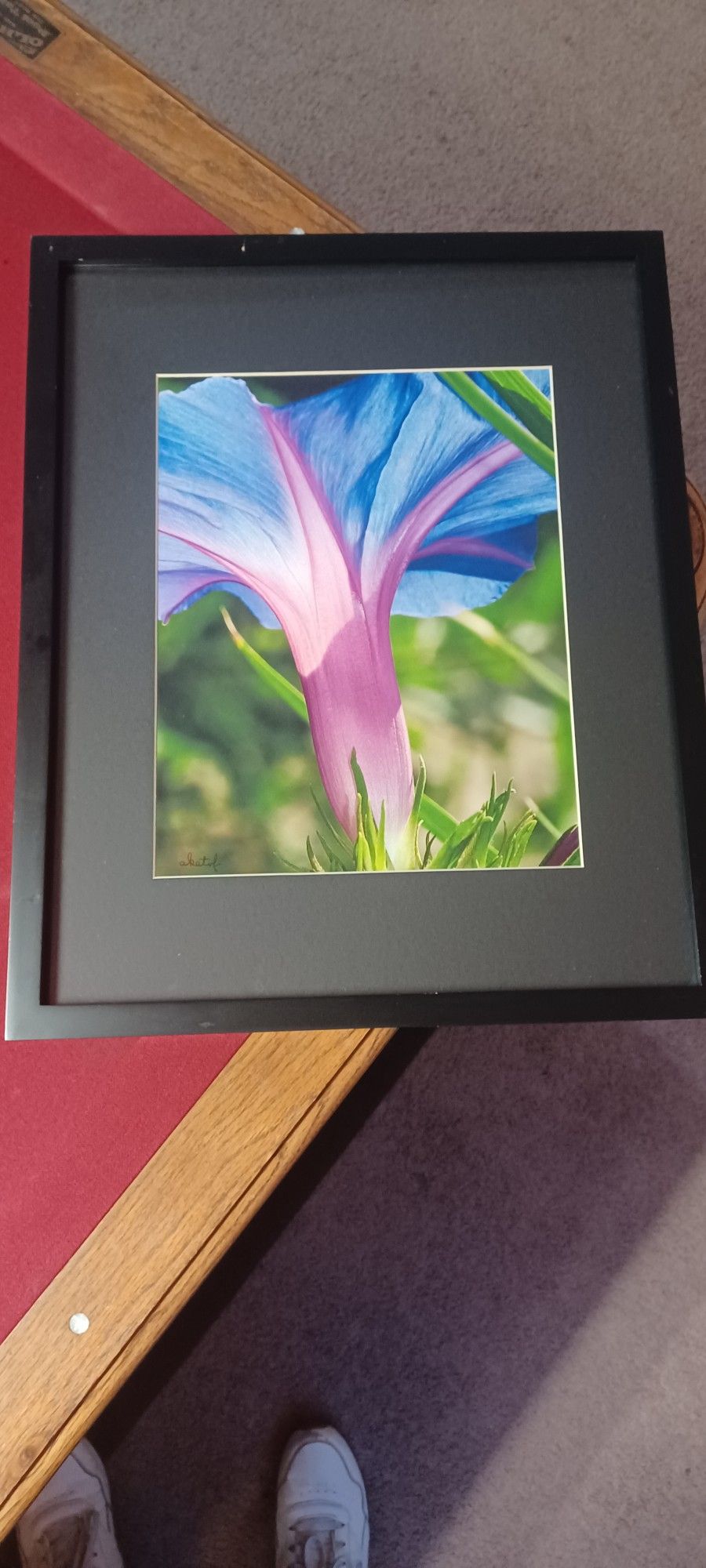 Framed Photograph