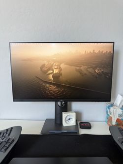 dell p2419h 24 in monitor FHD