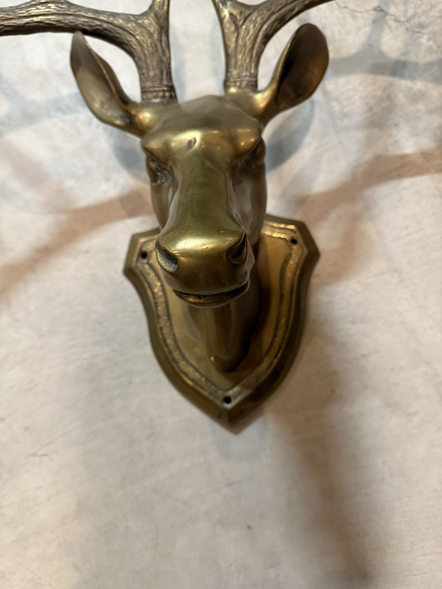 Brass Deer Stag Head Trophy Wall Mount