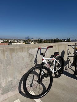 throne 29er