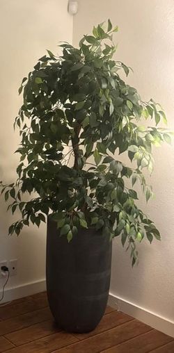 Faux tree in planter