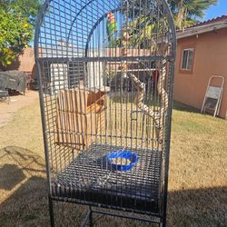 Bird Cage
