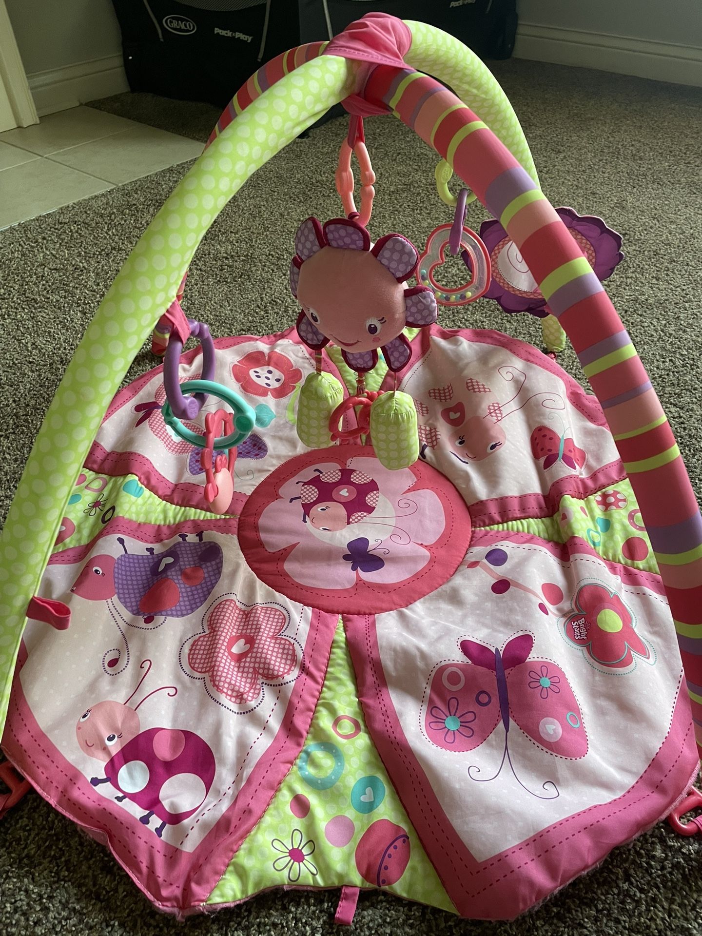 Baby Play Mat