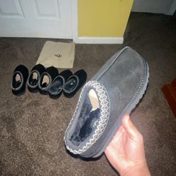 BRAND NEW Tasman Uggs Many Sizes Available With Warranty+Dust Bag