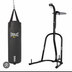 Everlast Punching Bag And Stand