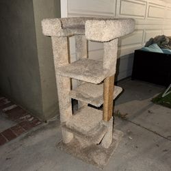 cat tree