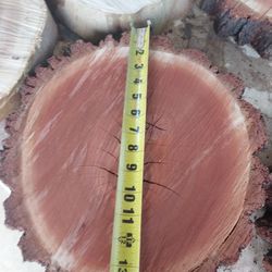 WOOD  SLICES...........