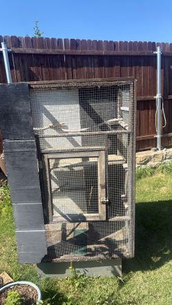 Birds cage