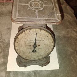 Scale Vintage Columbia 