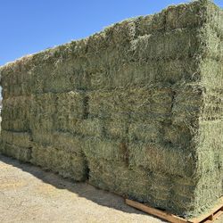 Alfalfa / Hay $15 