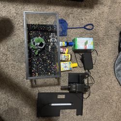 Fish Tank Setup