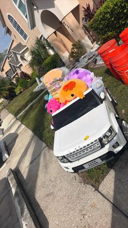 Toy