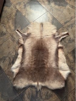 Real authentic leather wolf skin