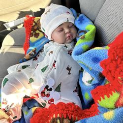 Pickle custom reborn doll