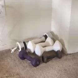 5 Dumbbells All For $10