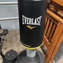 Everlast Punching Stand