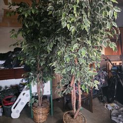 Artificial Trees