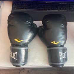 Everlast 12oz Sparring Gloves